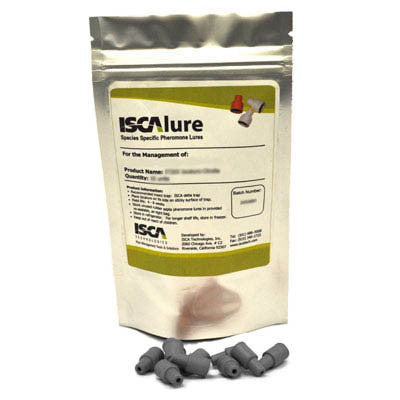 Pecan Nut Casebearer - IT330 - ISCA Technologies
